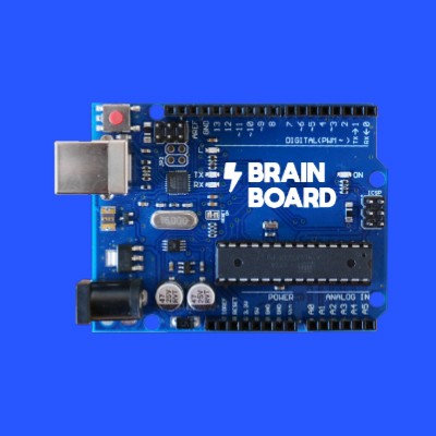 Brain Board