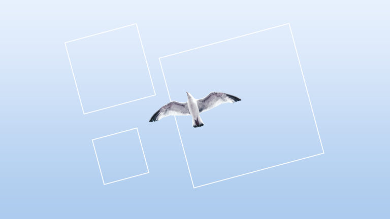 The Growing Trend of Minimalism in Technology and Design